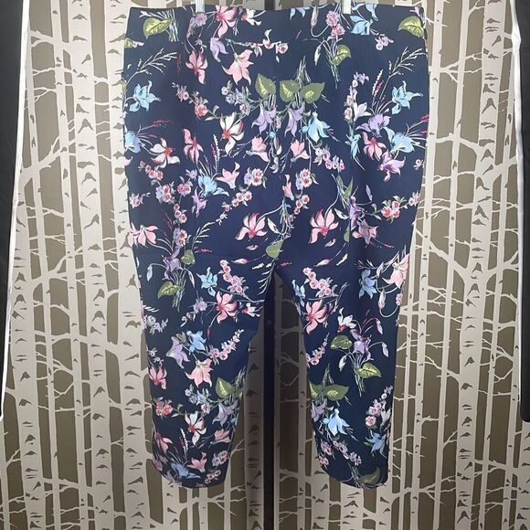 Terra & Sky Floral Print Ankle Pant 4X (28W-30W) - Picture 2 of 11